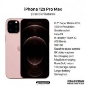 iPhone 12s Pro Maxϸع⣺֧120Hz ProMotionˢ